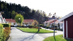 bild-1