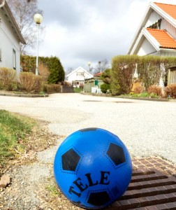 bild-2