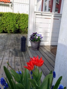 bild-3